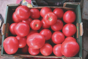 Tomatrosa løsning