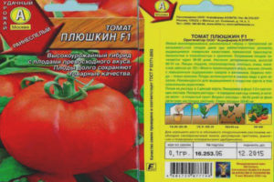 Tomate Plyushkin F1