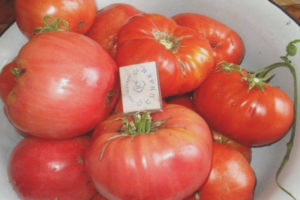 Pomodoro Rosmarino