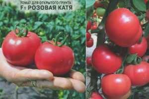 Rose tomate Katya F1