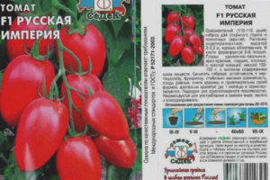 Empire russe de tomate