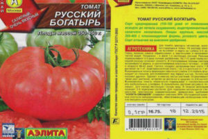 Tomato Russian hero