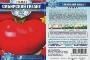 Tomate Siberian Giant