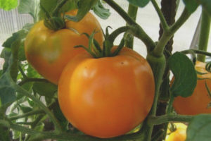 Donut sucré aux tomates