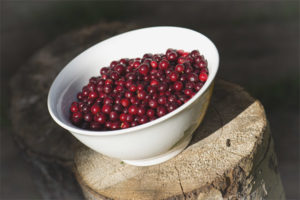 lingonberry มีประโยชน์อะไร