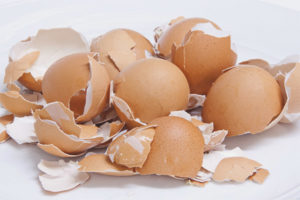Kalsiyum kaynağı olarak yumurta kabuğu