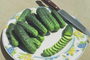 Cucumber Alliance F1