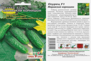 Agurk Moravian Gherkin F1