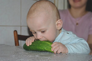 At what age can a child be given cucumbers