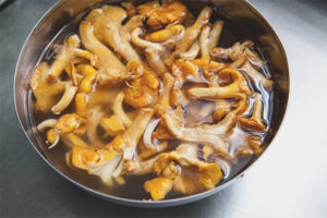 How to cook chanterelles before frying