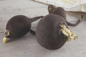 What is useful black radish