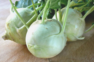 What is useful kohlrabi cabbage